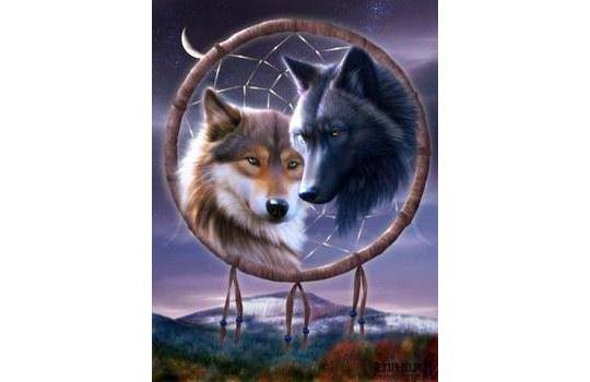 11203116_472631766236557_1129529051360047588_n