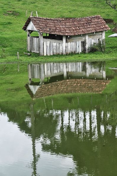 Zé Suassuna Oliveira 2