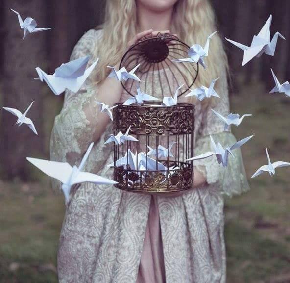 12803076_842014885945170_4662085825246200379_n