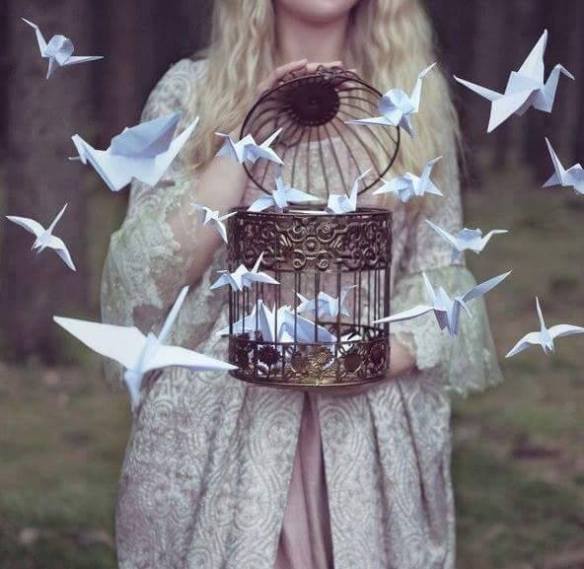 12803076_842014885945170_4662085825246200379_n