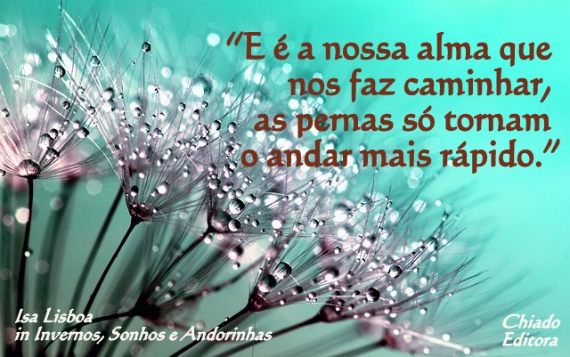 dandelion-445228_640