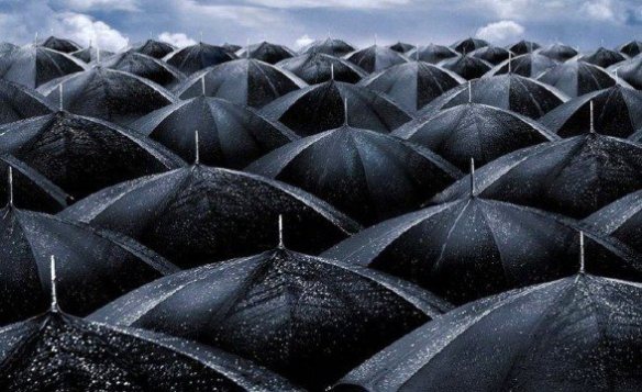 537730_10151889184877923_2083755010_n