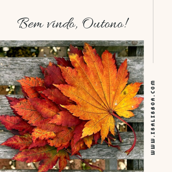 Bem vindo, Outono! (1).png