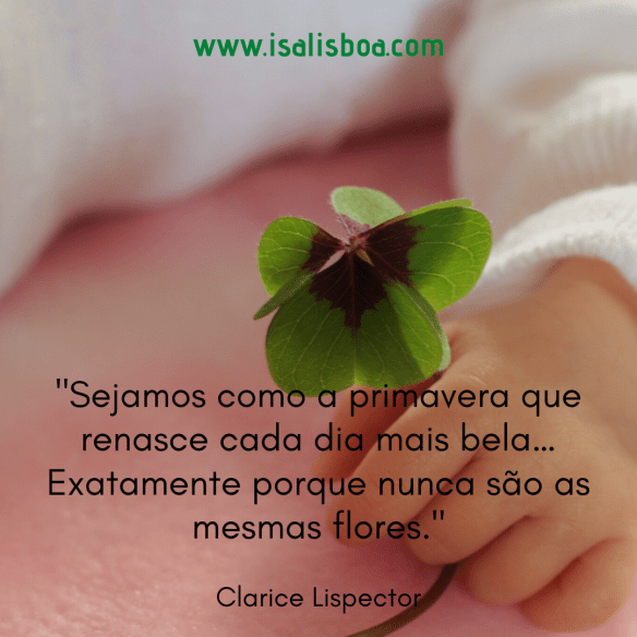 _Sejamos como a primavera que renasce cada dia mais bela… Exatamente porque nunca são as mesmas flores._ Clarice Lispector